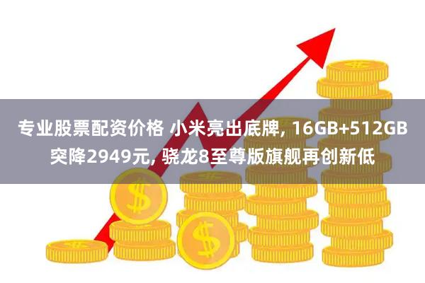 专业股票配资价格 小米亮出底牌, 16GB+512GB突降2949元, 骁龙8至尊版旗舰再创新低